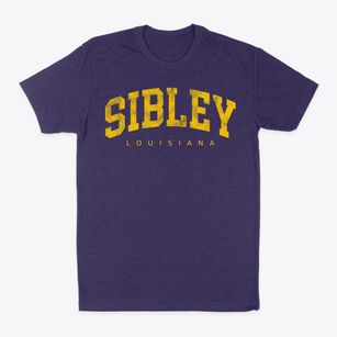 Sibley Louisiana Urban Vibe Classic Dad T-Shirt