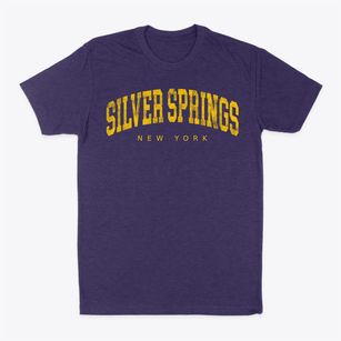 Silver Springs New York Urban Vibe Classic Dad T-Shirt