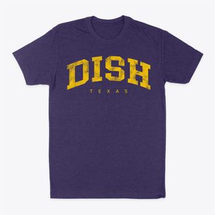 Dish Texas Urban Vibe Classic Dad T-Shirt