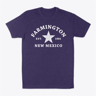 Farmington New Mexico Star Classic Dad T-Shirt