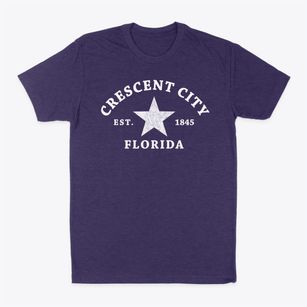 Crescent City Florida Star Classic Dad T-Shirt