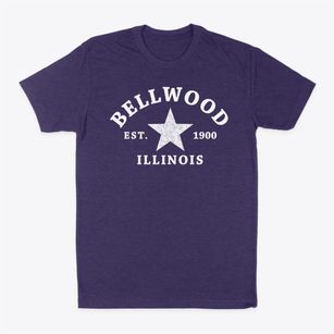 Bellwood Illinois Star Classic Dad T-Shirt