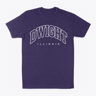 Dwight Illinois Inline Classic Dad T-Shirt