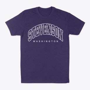 Stevenson Washington Inline Classic Dad T-Shirt