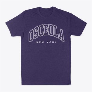 Osceola New York Inline Classic Dad T-Shirt