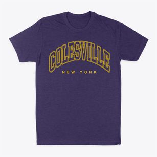 Colesville New York Inline Classic Dad T-Shirt