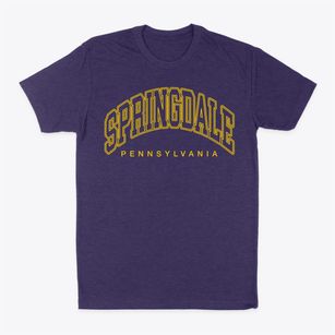 Springdale Pennsylvania Inline Classic Dad T-Shirt