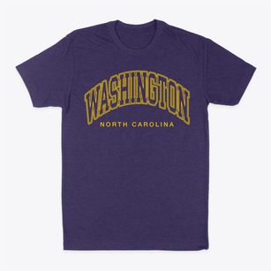 Washington North Carolina Inline Classic Dad T-Shirt