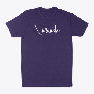 Norwich Connecticut Freestyle Classic Dad T-Shirt