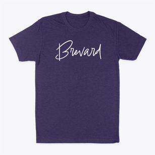 Brevard North Carolina Freestyle Classic Dad T-Shirt