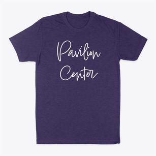 Pavilion Center New York Freestyle Classic Dad T-Shirt