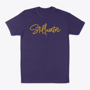Stillwater Minnesota Freestyle Classic Dad T-Shirt