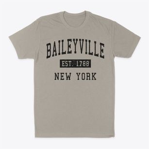 Baileyville New York Classic Established Classic Dad T-Shirt