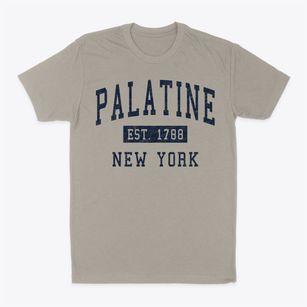 Palatine New York Classic Established Classic Dad T-Shirt