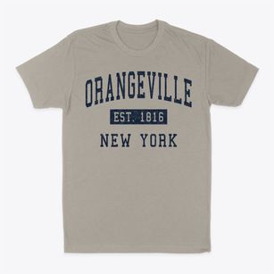 Orangeville New York Classic Established Classic Dad T-Shirt