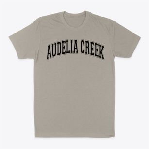 Audelia Creek Elementary Varsity Arch Classic Dad T-Shirt