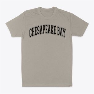 Chesapeake Bay Academy Varsity Arch Classic Dad T-Shirt
