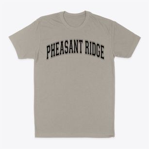 Pheasant Ridge Elementary School Varsity Arch Classic Dad T-Shirt