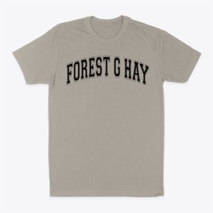 Forest G Hay Elementary School Varsity Arch Classic Dad T-Shirt