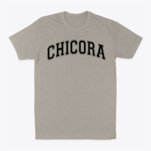 Chicora Elementary School Varsity Arch Classic Dad T-Shirt
