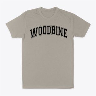 Woodbine Christian Academy Middle School Varsity Arch Classic Dad T-Shirt