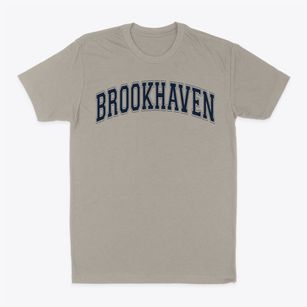Brookhaven Intermediate School Varsity Arch Classic Dad T-Shirt