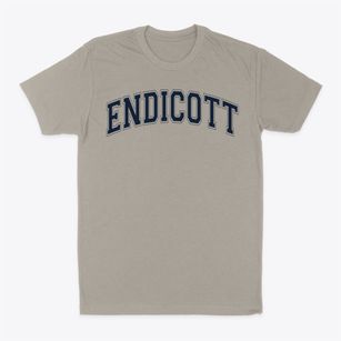 Endicott Elementary School Varsity Arch Classic Dad T-Shirt