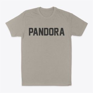 Pandora Ohio Classic Block Classic Dad T-Shirt