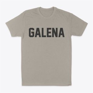 Galena Ohio Classic Block Classic Dad T-Shirt