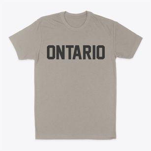 Ontario Wisconsin Classic Block Classic Dad T-Shirt