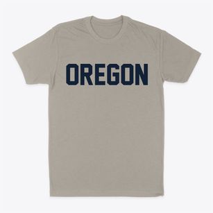 Oregon Illinois Classic Block Classic Dad T-Shirt