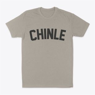 Chinle Arizona Classic Curve Classic Dad T-Shirt