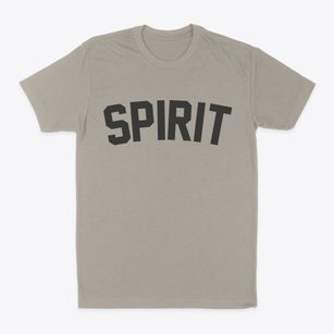 Spirit Wisconsin Classic Curve Classic Dad T-Shirt