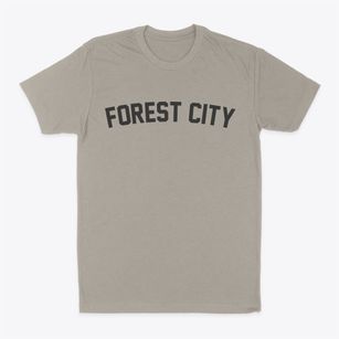 Forest City Missouri Classic Curve Classic Dad T-Shirt