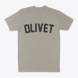 Olivet Kansas Classic Curve Classic Dad T-Shirt