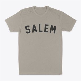 Salem Illinois Classic Curve Classic Dad T-Shirt