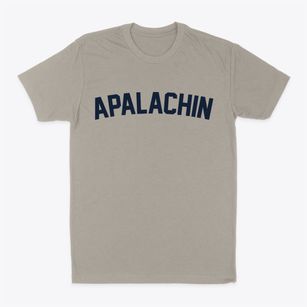 Apalachin New York Classic Curve Classic Dad T-Shirt