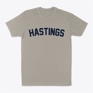 Hastings Florida Classic Curve Classic Dad T-Shirt