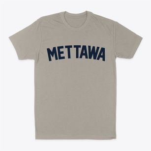 Mettawa Illinois Classic Curve Classic Dad T-Shirt