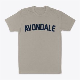 Avondale Missouri Classic Curve Classic Dad T-Shirt