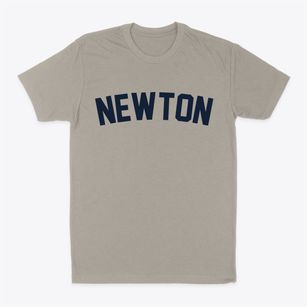 Newton North Carolina Classic Curve Classic Dad T-Shirt