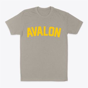Avalon New Jersey Classic Curve Classic Dad T-Shirt
