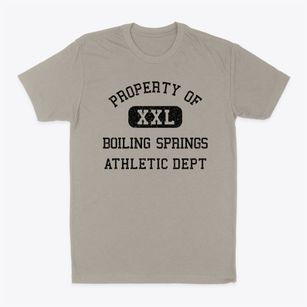 Boiling Springs North Carolina Athletic Dept Classic Dad T-Shirt