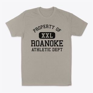 Roanoke Illinois Athletic Dept Classic Dad T-Shirt
