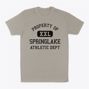 Springlake Texas Athletic Dept Classic Dad T-Shirt