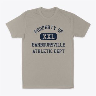 Barboursville West Virginia Athletic Dept Classic Dad T-Shirt