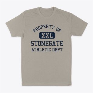 Stonegate Colorado Athletic Dept Classic Dad T-Shirt