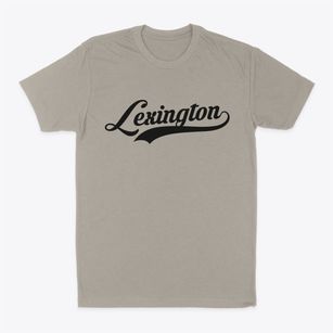 Lexington South Carolina Vintage Team Classic Dad T-Shirt