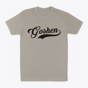 Goshen New York Vintage Team Classic Dad T-Shirt
