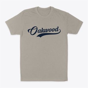 Oakwood Illinois Vintage Team Classic Dad T-Shirt